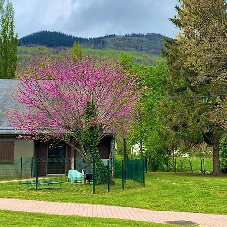 La Suite Unique - Le Jardin Sur Les Pyrenees- Vue Panoramique Montagne -Jardin Cloture Prive De 100M2-Parking-Linge De Lit Et Serviettes Compris- Bielle Extérieur photo