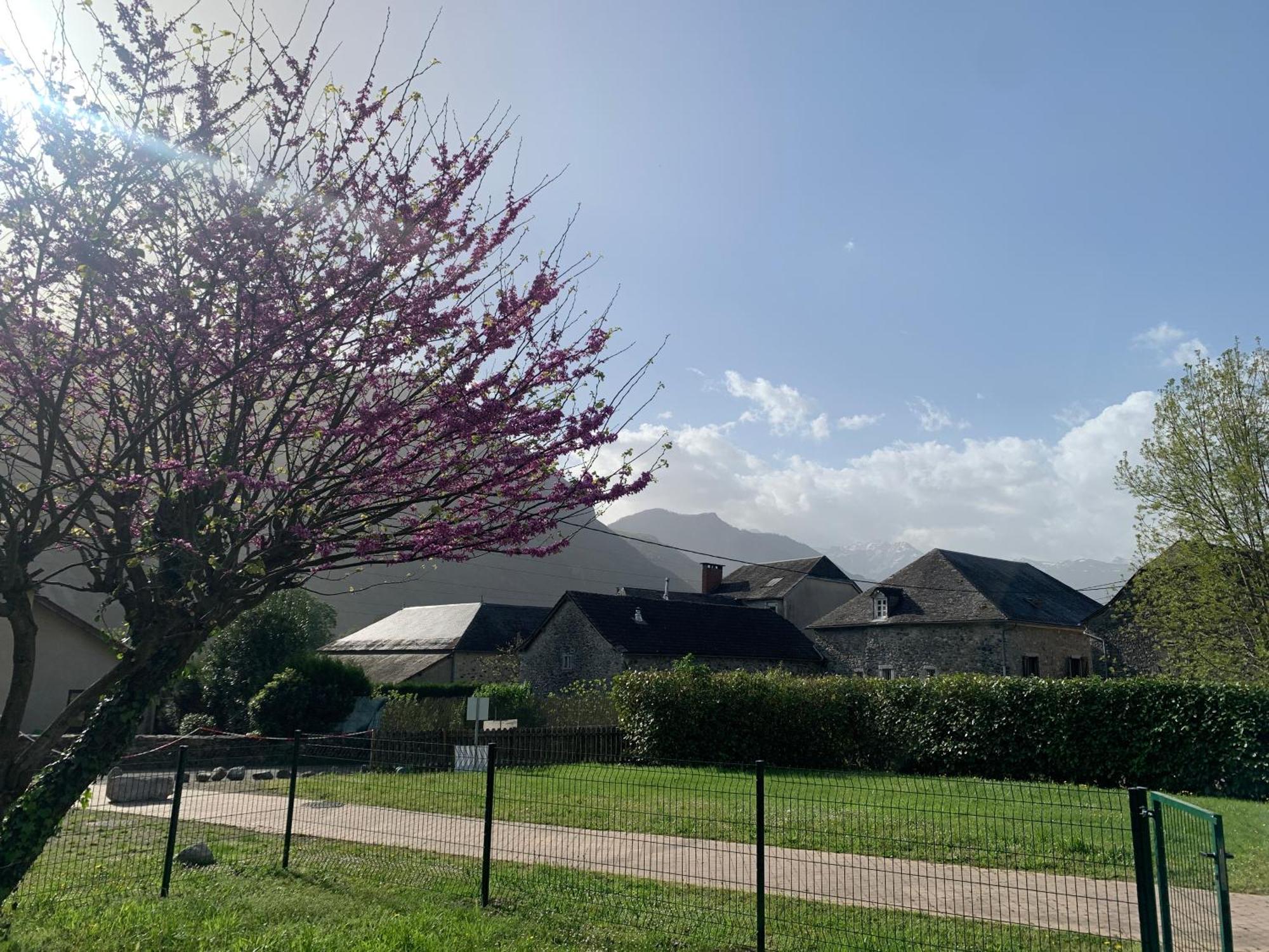 La Suite Unique - Le Jardin Sur Les Pyrenees- Vue Panoramique Montagne -Jardin Cloture Prive De 100M2-Parking-Linge De Lit Et Serviettes Compris- Bielle Extérieur photo