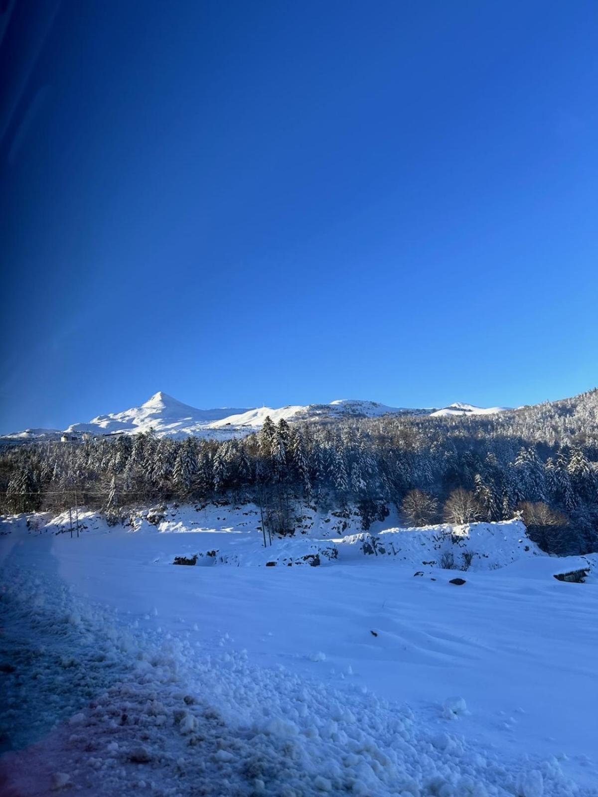 La Suite Unique - Le Jardin Sur Les Pyrenees- Vue Panoramique Montagne -Jardin Cloture Prive De 100M2-Parking-Linge De Lit Et Serviettes Compris- Bielle Extérieur photo